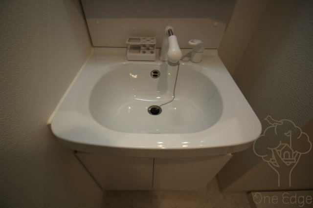 S-RESIDENCE新大阪Ridenteの洗面所