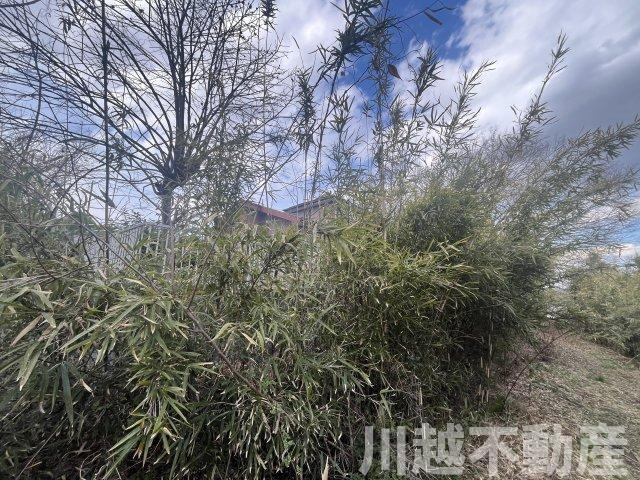 高台の眺望が魅力の山林つき中古戸建のその他|宅地部分のほかに山林部分も所有できます