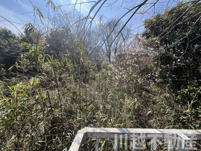 高台の眺望が魅力の山林つき中古戸建のその他|宅地部分のほかに山林部分も所有できます