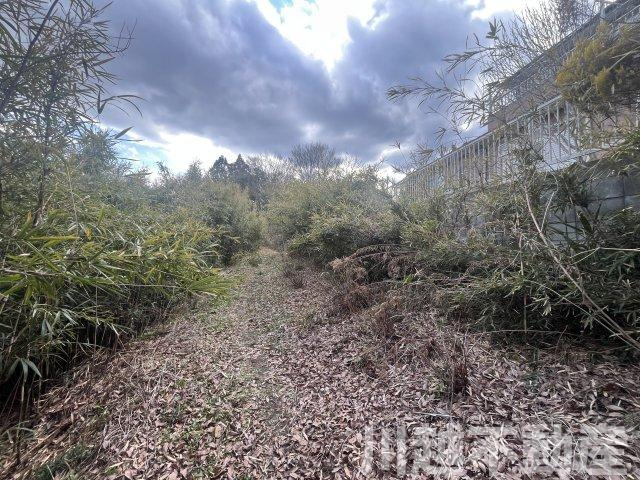 高台の眺望が魅力の山林つき中古戸建のその他|南東側に設けられた遊歩道