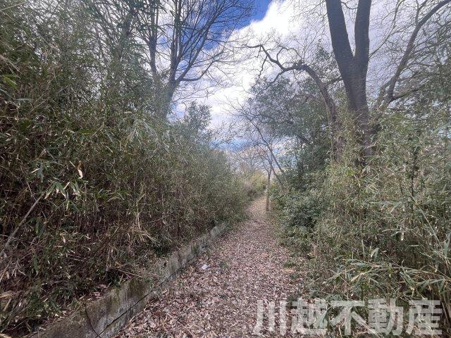 高台の眺望が魅力の山林つき中古戸建のその他|南東側に設けられた遊歩道