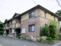 エクセルクシロの画像