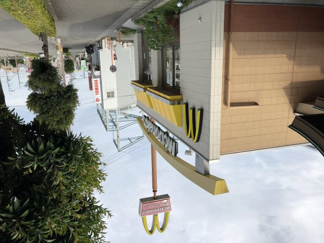 【周辺】 | レオパレスコスモス