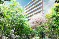 横浜市神奈川区鶴屋町２丁目のマンションの画像
