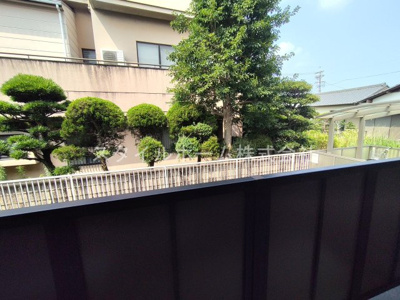 【展望】 | アミー