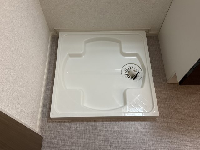 ミステルのその他