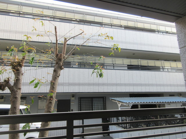Ｐａｒｃ　Ｈｉｌｌ　哲学堂の展望|★別号室の参考写真です★