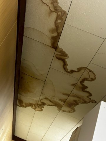 栃木市岩舟町静　診療所跡地の内装|雨漏り箇所