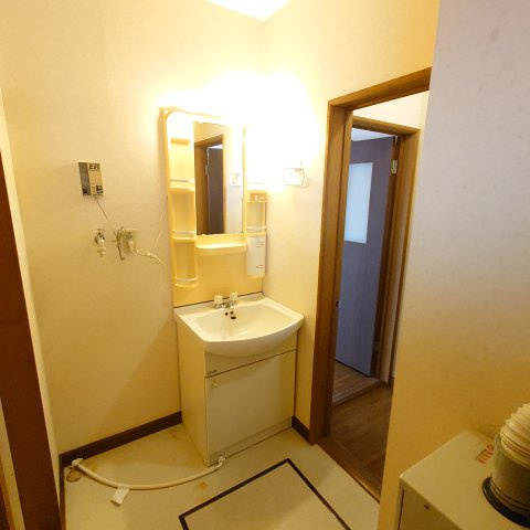 ドリームハウスの洗面所