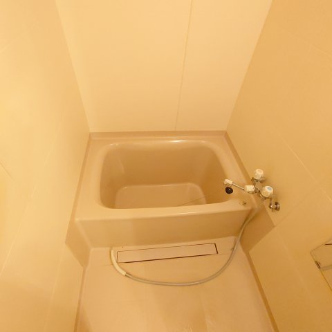 ドリームハウスの浴室