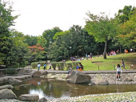 ジョンシェ高円寺の周辺