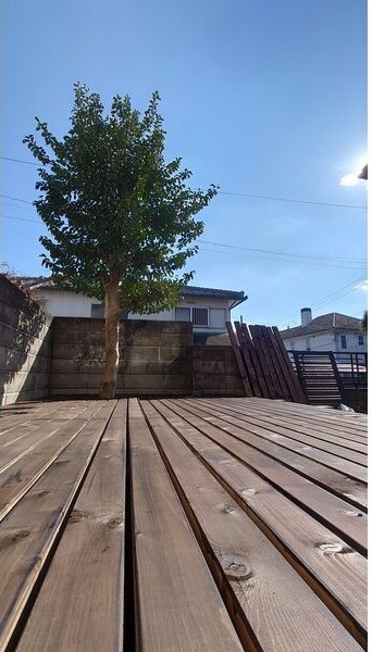 CASA UMEMORIZAKAの庭