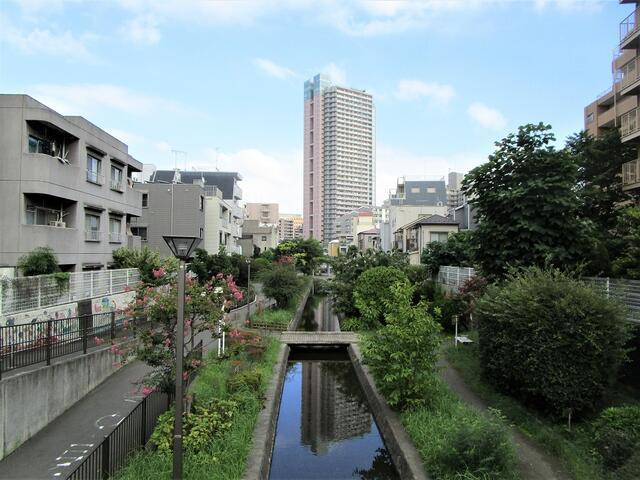 喜久屋ビルの展望|古石場川親水公園まで910m 
