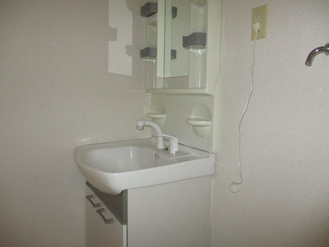 ロイヤル小塩IIIAの洗面所