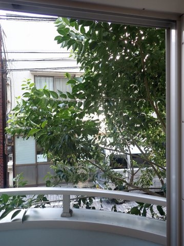 アールブリュット白山の展望