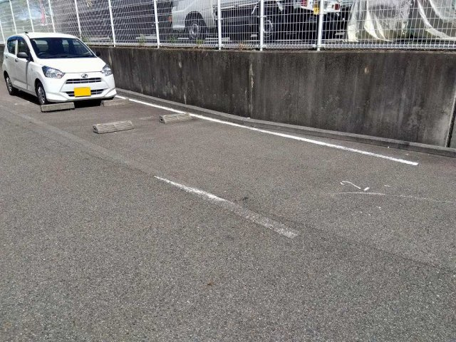 レオネクストウリュウのその他