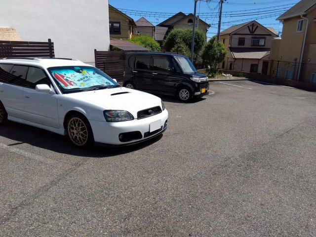 レオネクストウリュウのその他