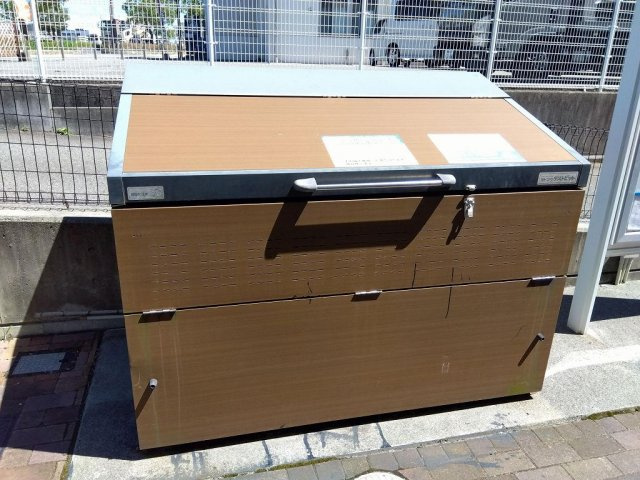レオネクストウリュウのその他