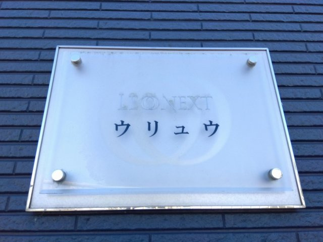 レオネクストウリュウのその他