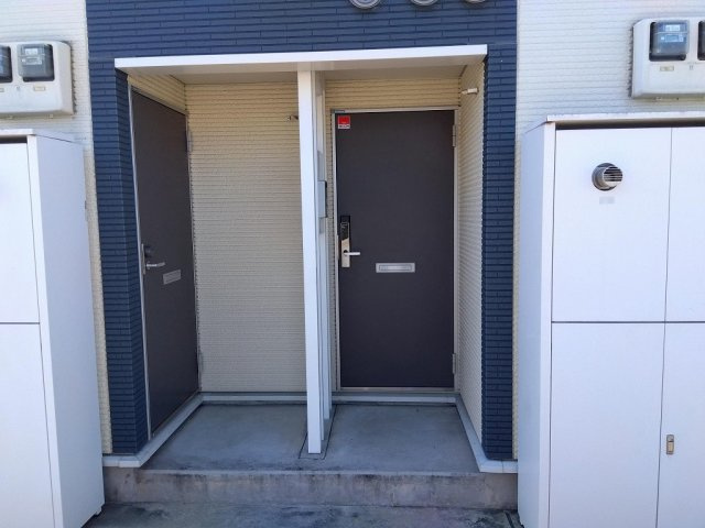 レオネクストウリュウのその他