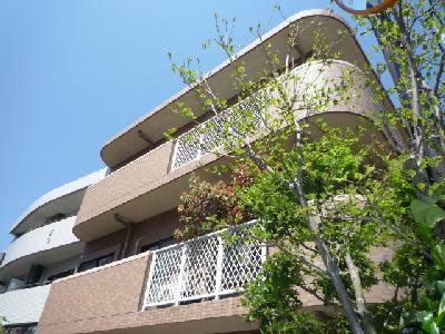 グリーンヒルズ泰明の外観|外観