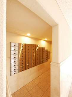 【その他共用部分】 | 甲府市国母8丁目 Ｈ12年築 ラフィーネ国母 内装一新 5階 | 郵便受け（建物内部側）