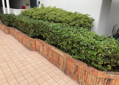 【庭】 | シーサイドパレス平塚　B号棟 | 物件によっては、入居者が個人的に使用できる専用庭がついているものもあります。また、住宅の中にある土間の部分を庭と呼ぶこともあります。庭の用途は住む人によって変わり、それによってデザインもさまざまです。