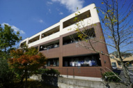 Rock Yardの画像