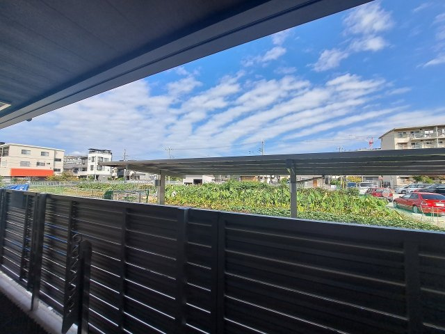 ＳｈａＭａｉｓｏｎ　Ｐｒｅｃｉｏｕｓの展望