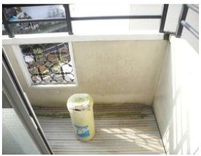 【バルコニー】 | 富志正第六ハイツ