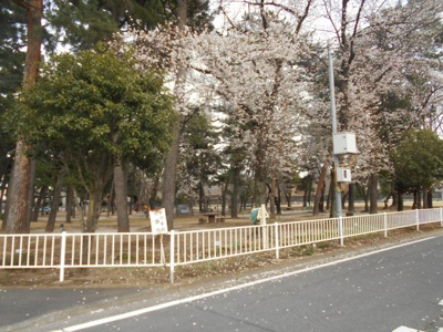 【周辺】 | 前橋市関根町中古住宅 | 目の前の公園
