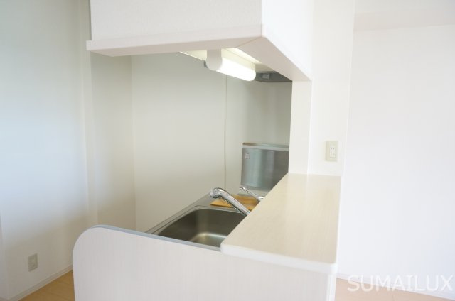 熊本市南区薄場２丁目の賃貸マンションの内装