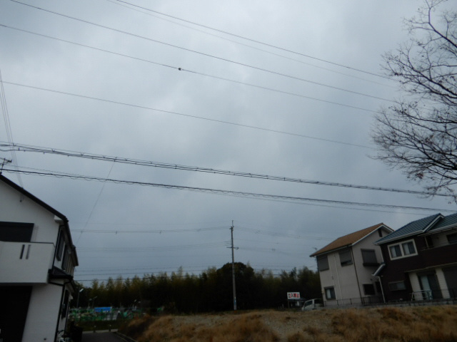 グランディールＮＫＴ　２棟の展望