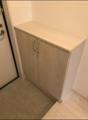 【玄関】 | Hale　Lea（ハレレア）桜並木　★プライスホームなら仲介手数料が割引価格です！★