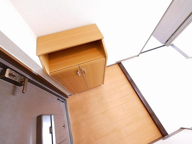 レフィナード・ラ・シャレー生駒の玄関|明るい玄関です