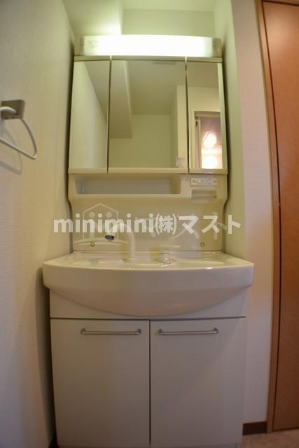 プラチナム北堀江の洗面所