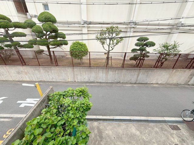 MTハイムの展望