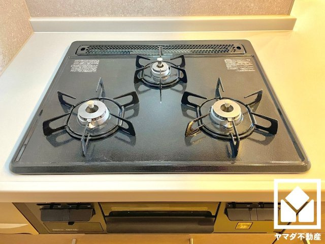 ルミエール藤ノ森のキッチン