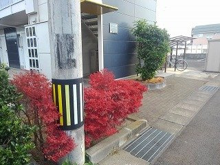 【その他】 | レオパレスどりーむＳ