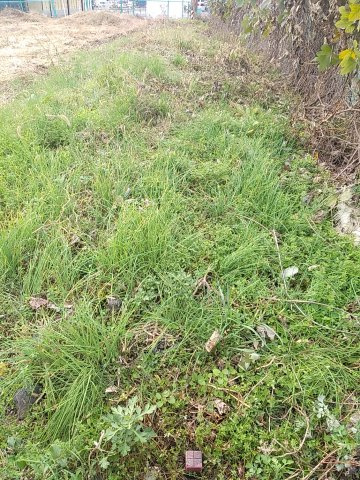 マキノ町高木浜１丁目100坪土地（西区画）