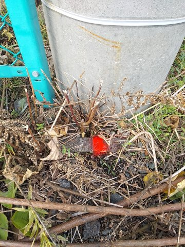 マキノ町高木浜１丁目100坪土地（西区画）