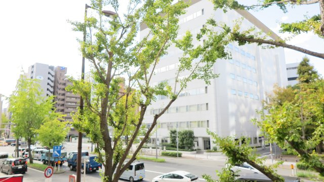 アリス・マナーガーデン新町の展望