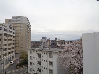 【展望】