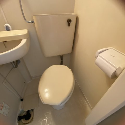 ハイツカレッヂＢのトイレ|落ち着いたトイレです