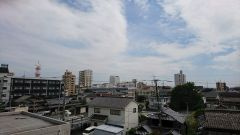 【展望】 | ウィリングネクスト