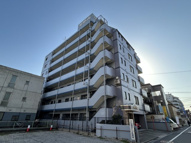 セザール第五綾瀬の画像