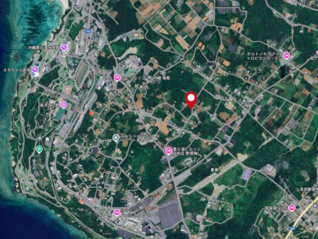 本部町字石川156-1　売土地の地図