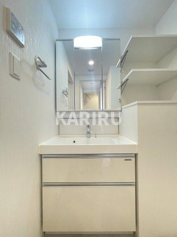 プレジオ関目 の洗面所