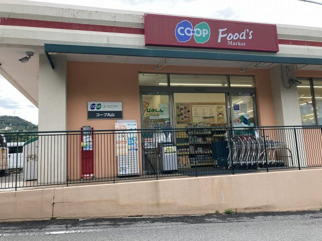 レオパレス西丸山の周辺