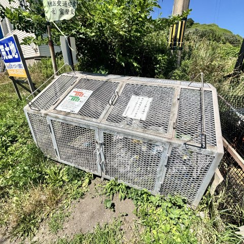 シーサイドの庭